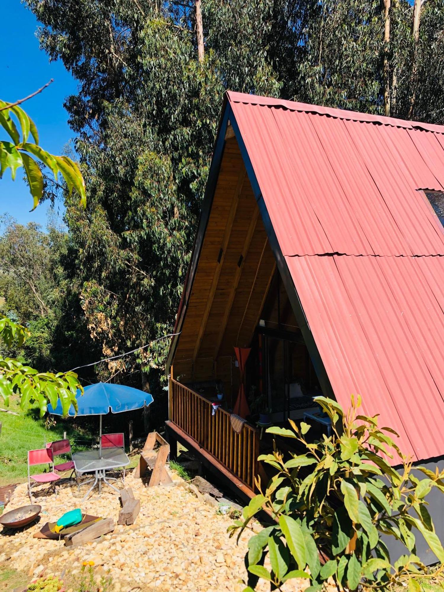 Casa Indigo * Tabio