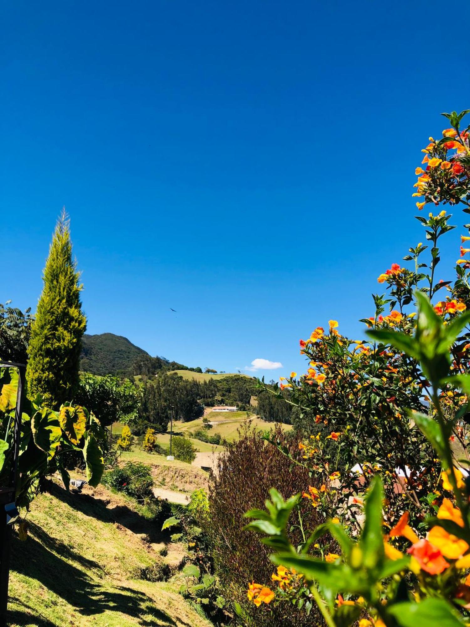 Casa Indigo *
